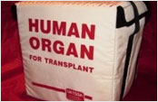 Need an Organ Transplant? Don't Count on New York