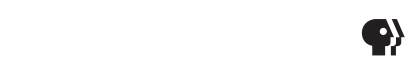 THIRTEEN logo