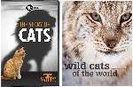 Click here for more information about COMBO: DVD: Nature: The Story of Cats + BOOK: Wild Cats of the World (hardcover)