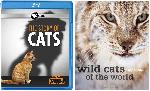 Click here for more information about COMBO: Blu-Ray Disc: Nature: The Story of Cats+ BOOK: Wild Cats of the World